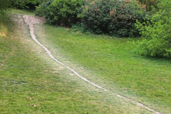 stock image Desire path or desire line. Path created by pedestrian traffic trampling the grass on desired shortcut. Urban planning user experience design issue. Prague, Czech Republic.