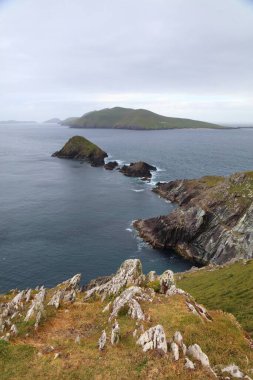 İrlanda 'nın Kerry ilçesindeki Dingle Yarımadası manzarası. Arka planda Büyük Blasket Adası olan Dunmore Head uçurumları.
