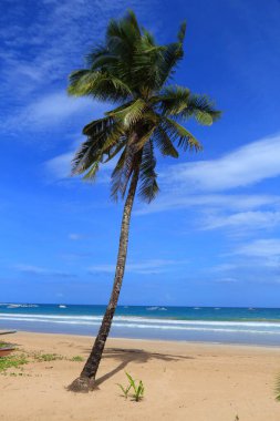 Filipinler, Palawan 'daki Sabang plajı. Güney Çin Denizi istikameti.