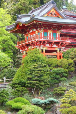 San Francisco - Golden Gate Park 'taki Japon Çay Bahçesi.