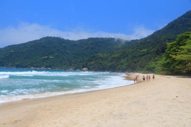 Brezilya - Costa Verde (yeşil sahil) Trindade Paraty yakınındaki plaj. Rio de Janeiro devlet. Mata Atlantica rainforest hills ile göster.