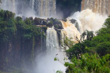 Brezilya ve Arjantin 'de Iguazu Şelaleleri. Güney Amerika doğası. Iguacu Ulusal Parkı.