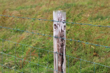 İrlanda 'nın Connemara bölgesinde otlakları ve tarım arazilerini çevreleyen dikenli tel örgüler.