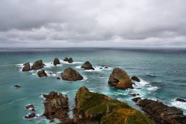 Yeni Zelanda - Nugget noktası South Island Catlins sahil.