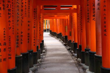 KYOTO, JAPONYA - 28 Kasım 2016: Kyoto, Japonya 'daki Fushimi Inari Taisha tapınağının Torii kapıları. Fushimi Inari 'de 10,000' den fazla tori kapısı var..