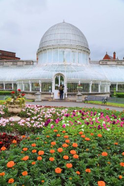 Belfast şehri, Kuzey İrlanda. Palm House 'un Botanik Bahçeleri' ndeki tarihi demir konservatuarı.