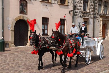 KRAKOW, POLAND - 28 Ağustos 2018 Krakow, Polonya 'da insanlar at arabasına biniyor. Krakow Tarihi Merkezi UNESCO 'nun Dünya Mirasları Alanıdır..