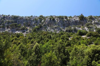 İtalya, Sardunya 'nın Ogliastra ilindeki Akdeniz yaprak döken orman manzarası. Cala Goloritze Yolu.