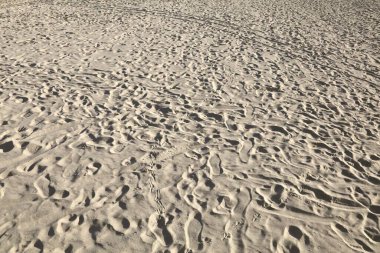 İtalya 'nın Sardinya Costa Smeralda bölgesindeki La Cinta plajında kum insan ve kuş ayak izleri..