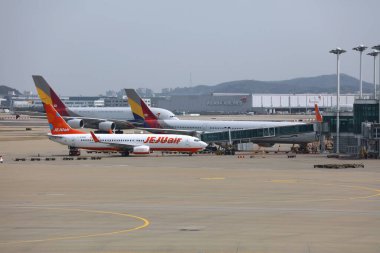 SEOUL, Güney Kore - 10 APRIL 2023: Asiana Airlines Airbus A330, Airbus A380 ve Jeju Air uçakları Seul Incheon Havaalanı, Güney Kore 'nin ana havaalanı.