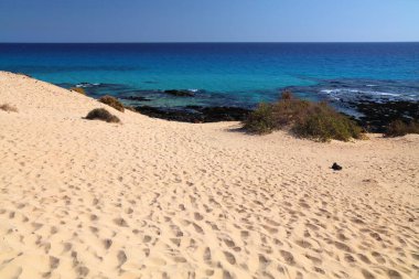 İspanya 'nın Kanarya Adaları Fuerteventura adasındaki Corralejo kumlu plajı..