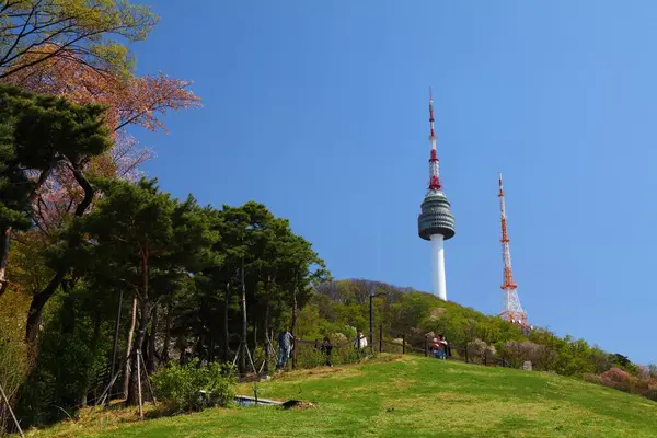 SEOUL, SOUTH KOREA - APRIL 8, 2023: People visit Namsan Park in Seoul. N Seoul Tower commonly known as Namsan Tower is visible in background.