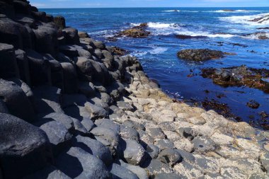 Giant 's Causeway Kuzey İrlanda' nın doğal simgesidir. County Antrim 'de doğa harikası. Yaz manzarası.