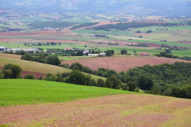 Fransa 'nın tarım manzarası. Fransa 'nın Aveyron bölgesinde tarlalar ve otlaklar.