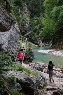 İtalya 'nın doğası. Orrido dello Slizza Nehir Kanyonu Tarvisio 'da yürüyüş yolu.