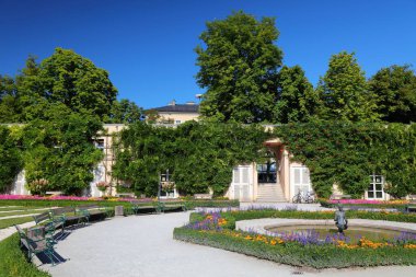 Mirabell Garden, Salzburg, Avusturya. Çiçekli halka açık bir park. Yaz görünümü.
