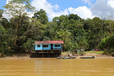 Kuzeydoğu Sabah, Malezya 'da Sandakan Bölgesi' nde, Sukau 'da Kinabatangan Nehri' nin yanındaki ıssız köy evinde..