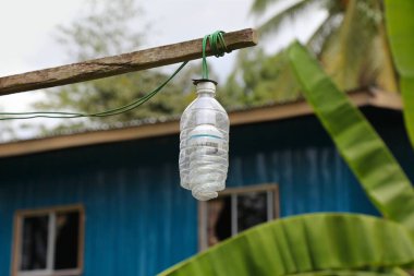 Malezya 'nın Sabah eyaletinin yoksul kırsal kesiminde tutumlu bir beceri. Lamba için ev yapımı solüsyon. Kesik plastik evcil hayvan şişesinden yapılmış ampul gölgesi. Tutumlu yaşam hack 'i.