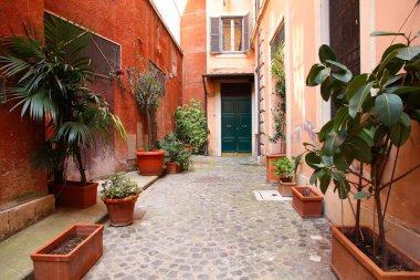 Roma, İtalya 'da saksı bitkileri olan kör bir sokak manzarası.