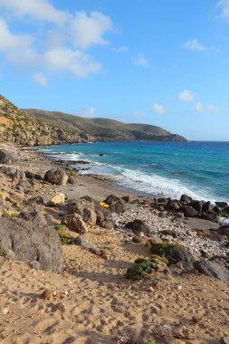 Yunanistan Crete Adası doğa. Sahil Kedrodasos Elafonisi (veya Elafonissi yanında).