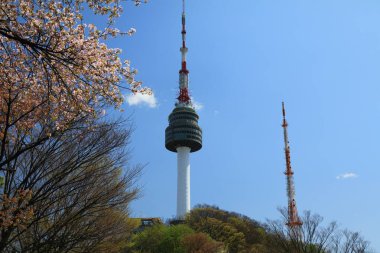 SEOUL, Güney Kore - 8 Nisan 2023: Seul 'deki Namsan Park' ta bahar. Namsan Kulesi olarak bilinen N Seul Kulesi arka planda görünür..