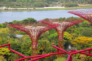 SINGAPORE ŞEHRİ, SINGAPORE - 11 Mart 2024: Singapur 'daki Körfez Turist Merkezi yakınlarındaki Gardens' taki Supertree Grove. Körfez kenarındaki bahçeler Ulusal Parklar Kurulu tarafından işletilen bir doğa parkı..