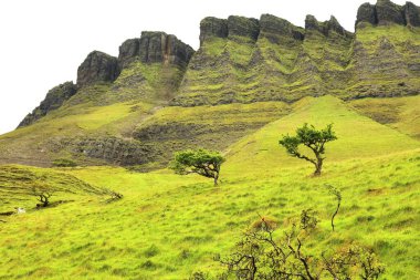 County Sligo, İrlanda doğası. Benbulben Dağı (Benbulbin veya Ben Bulben olarak da bilinir). Dartry Dağlarının Bir kısmı.