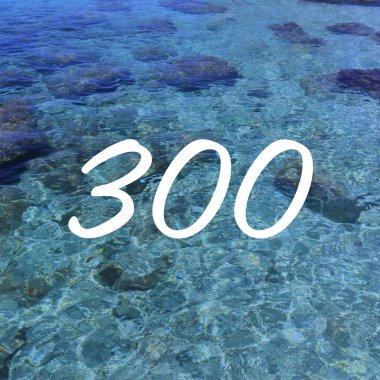 300 numara işareti. Sosyal medya için 300 dönüm noktası. Beğenilerin, hayranların veya takipçilerin sayısı.