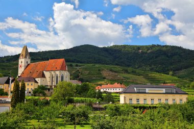 Weissenkirchen in der Wachau, Avusturya 'nın küçük bir kasabası Wachau' da şarap yetiştiren bölge.
