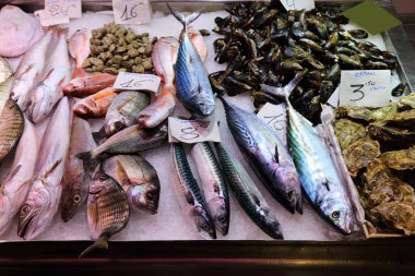 İspanya 'nın Alicante kentindeki yerel market binasının balık bölümünde taze uskumrular. İspanyol yemeği.