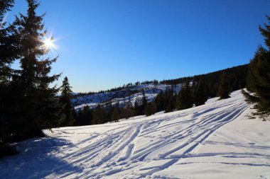 Polonya 'da kış - Beskidy Dağları karlı manzara. Beskid Zywiecki Yolu - Hala Rysianka.