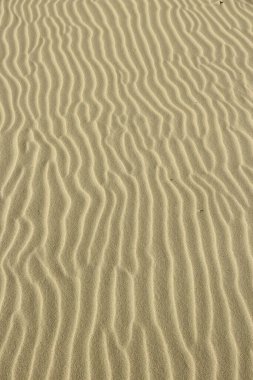 Kum desenli arka plan - Baltık Denizi, Polonya 'da sarı kumsal.