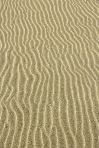 Kum desenli arka plan - Baltık Denizi, Polonya 'da sarı kumsal.