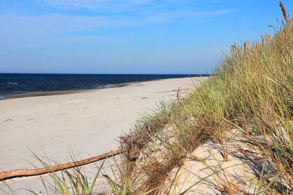 Polonya 'daki Baltık Denizi sahili - Bialogora' daki kumlu sahil manzarası. Baltık Denizi 'nde Yaz.