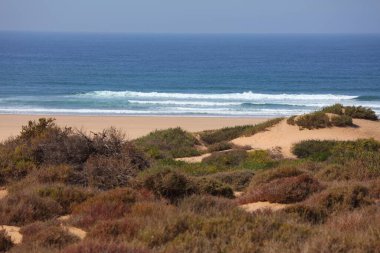 Agadir, Fas yakınlarındaki Souss Massa Ulusal Parkı 'ndaki Atlantik Okyanusu kumlu plajı..