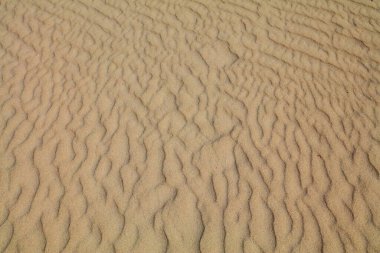 Fuerteventura, İspanya 'da kum desenli doku. Çöl kum tepecikleri arka plan.