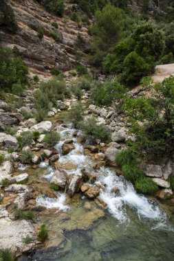 Borosa Nehri ve Cerrada de Elas yolu üzerindeki Cazorla Milli Parkı, Jan, Endülüs, İspanya