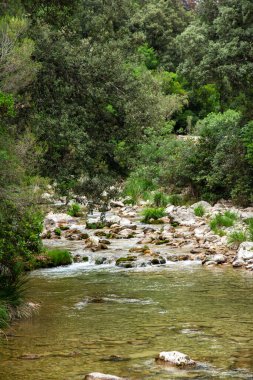 Borosa Nehri ve Cerrada de Elas yolu üzerindeki Cazorla Milli Parkı, Jan, Endülüs, İspanya