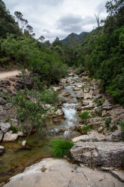 Borosa Nehri ve Cerrada de Elas yolu üzerindeki Cazorla Milli Parkı, Jan, Endülüs, İspanya
