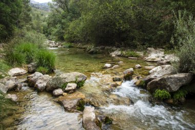 Borosa Nehri ve Cerrada de Elas yolu üzerindeki Cazorla Milli Parkı, Jan, Endülüs, İspanya