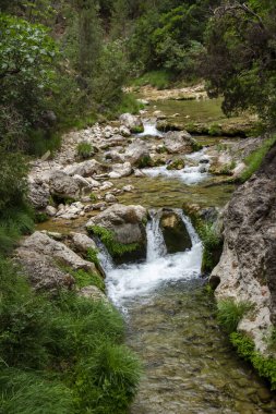 Borosa Nehri ve Cerrada de Elas yolu üzerindeki Cazorla Milli Parkı, Jan, Endülüs, İspanya