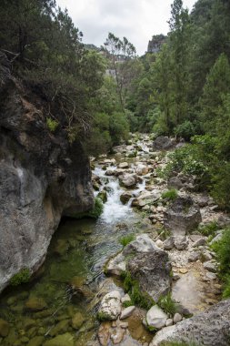 Borosa Nehri ve Cerrada de Elas yolu üzerindeki Cazorla Milli Parkı, Jan, Endülüs, İspanya