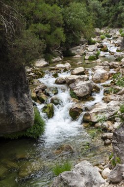 Borosa Nehri ve Cerrada de Elas yolu üzerindeki Cazorla Milli Parkı, Jan, Endülüs, İspanya