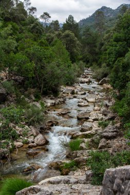Borosa Nehri ve Cerrada de Elas yolu üzerindeki Cazorla Milli Parkı, Jan, Endülüs, İspanya