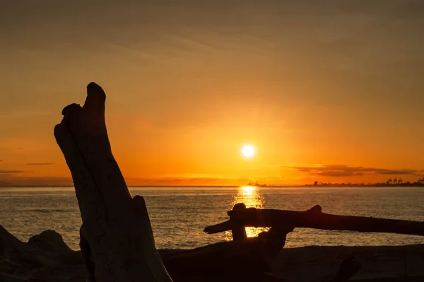 Coucher Soleil Avec Bois Flotté Navires Silhoueete Arrière Point Roberts — Photo