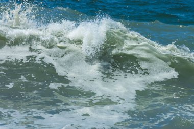 wave washing the beach in Pacific ocean, California, United States