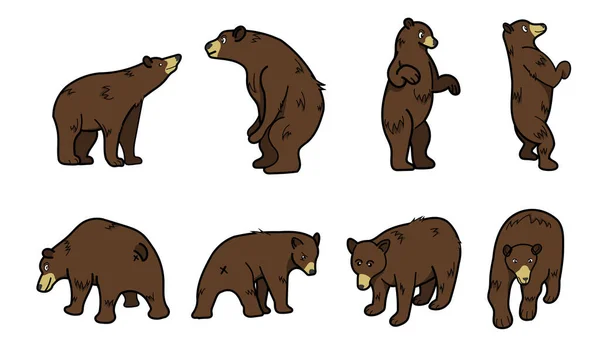 Vadon Élő Medve Vektorának Ábrázolása — Stock Vector