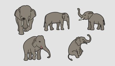 Elephants in many action vector illustration clipart