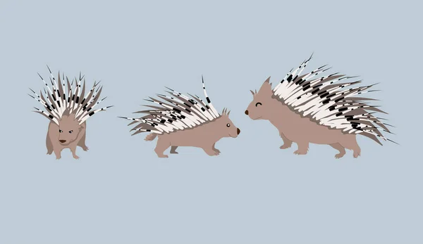 Illustration Vectorielle Ensemble Porcupine Mignon — Image vectorielle
