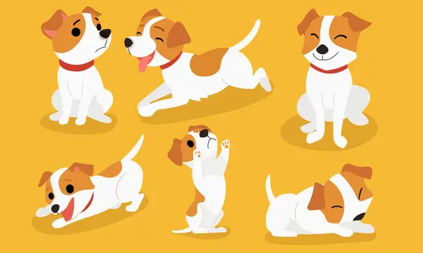 Συλλογή Χαριτωμένο Και Παιχνιδιάρικο Jack Russell Σκυλιά Διάφορες Θέσεις Εικονογράφηση Αρχείου